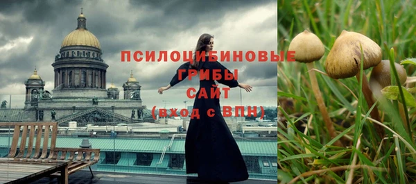 эйфоретик Беломорск