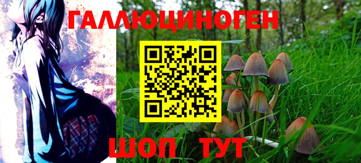 Псилоцибиновые грибы мицелий Бутурлиновка