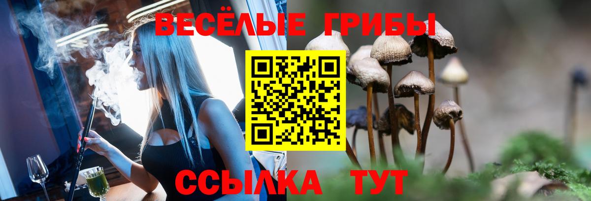 Бутурлиновка  Галлюциногенные грибы ЛСД  Вход с VPN 